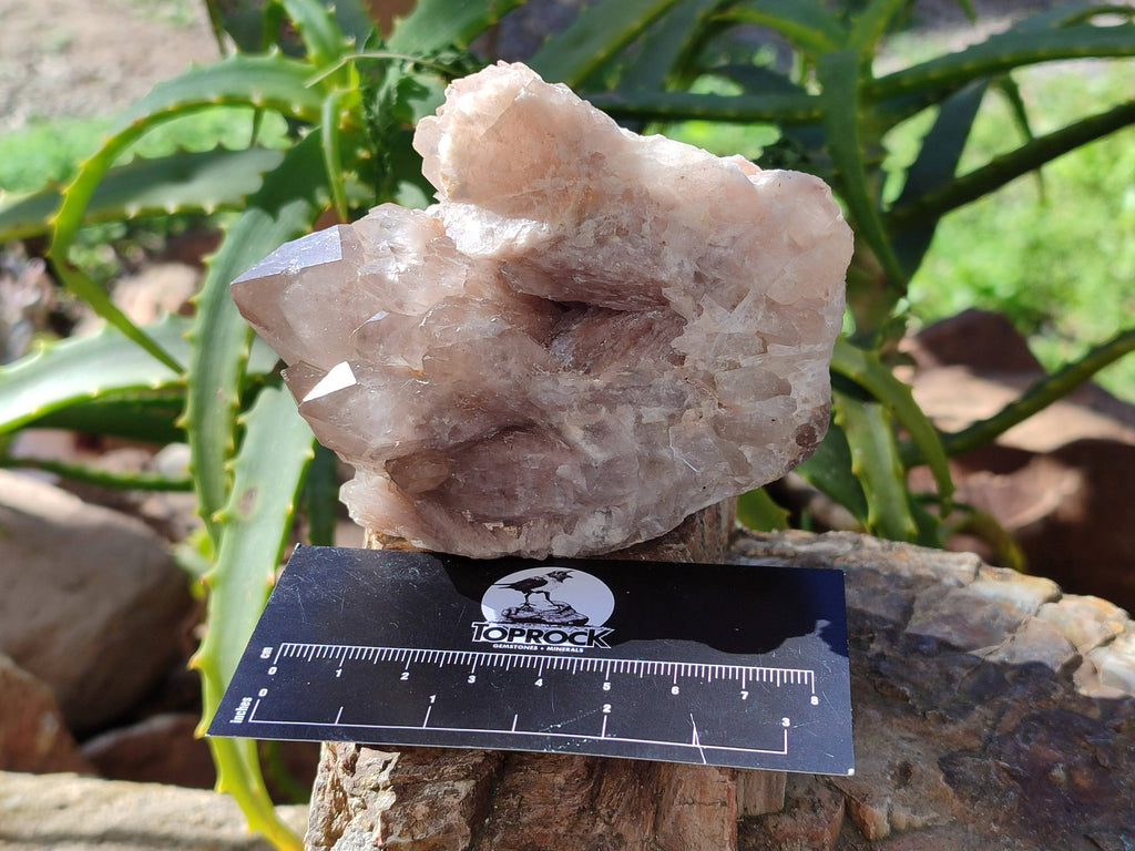 Natural Phantom Smokey Quartz Clusters x 3 From Luena, Congo - Toprock Gemstones and Minerals 