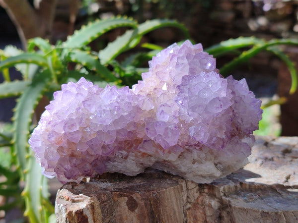 Natural Amethyst Spirit Quartz Clusters x 3 From Boekenhouthoek, South Africa