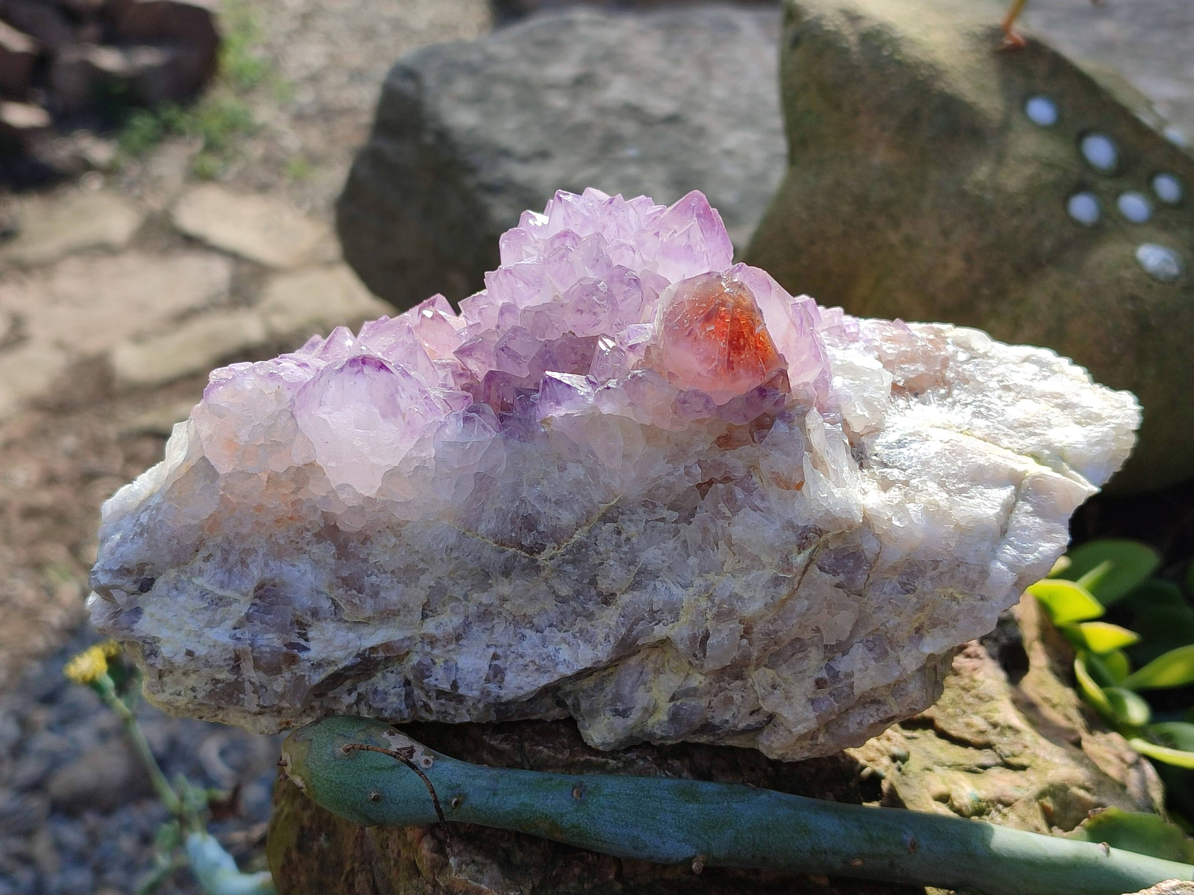 Natural Amethyst Spirit Quartz Clusters x 3 From Boekenhouthoek, South Africa - Toprock Gemstones and Minerals 