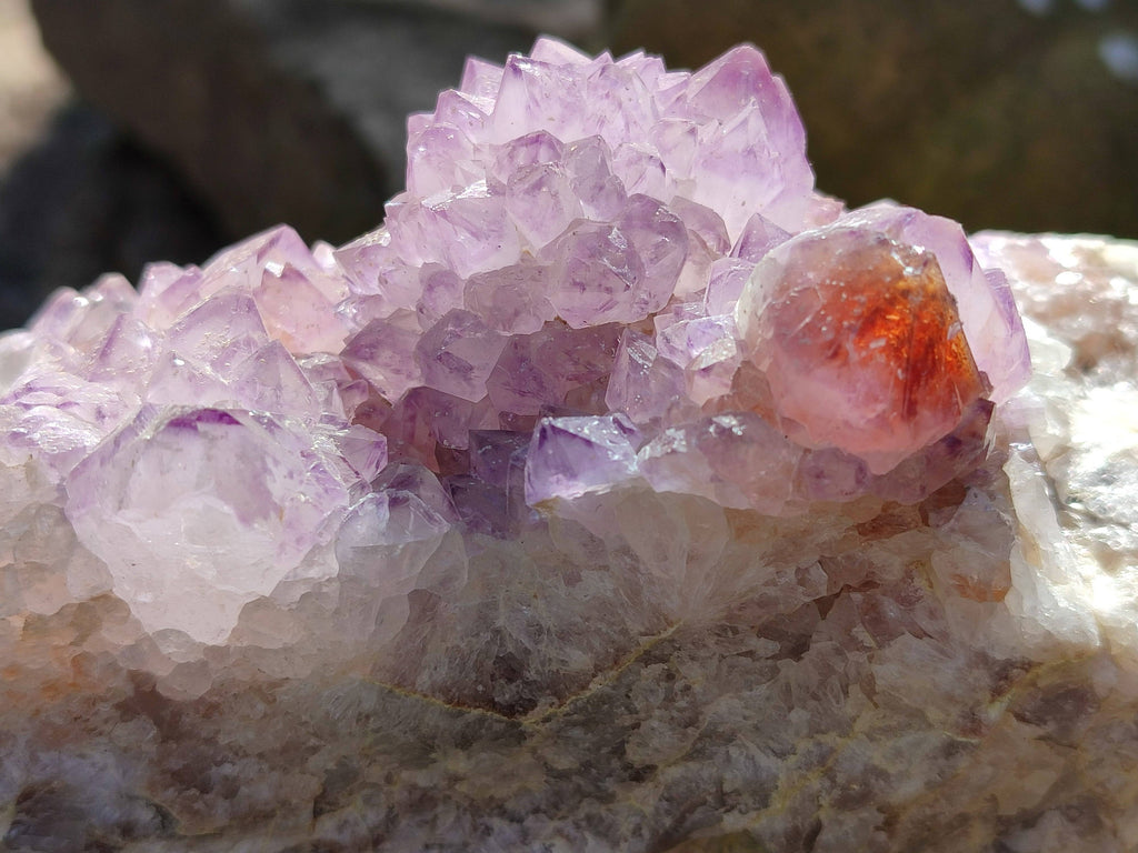 Natural Amethyst Spirit Quartz Clusters x 3 From Boekenhouthoek, South Africa - Toprock Gemstones and Minerals 