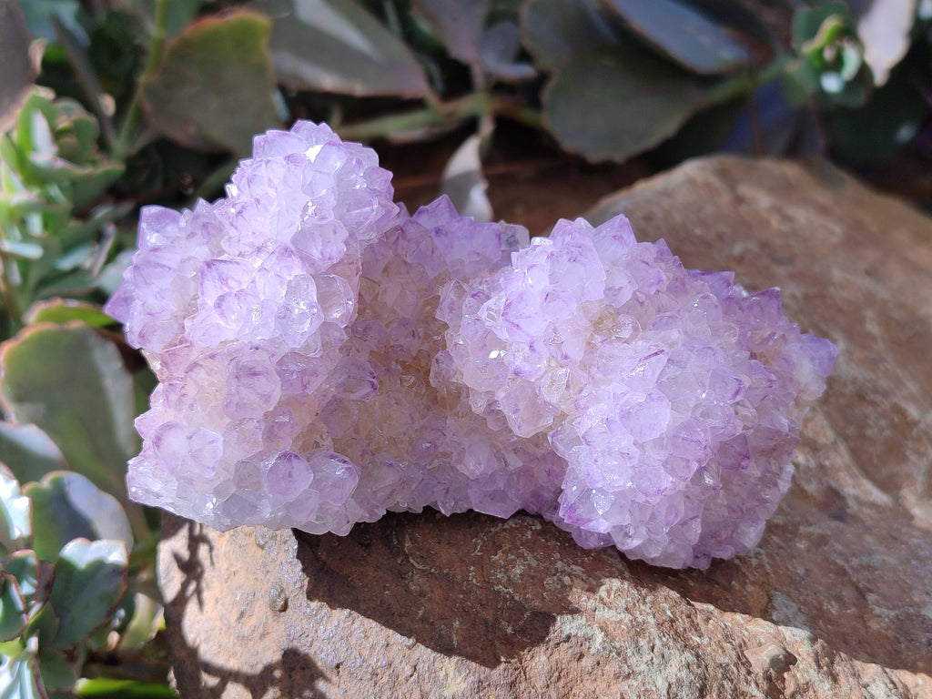 Natural Amethyst Spirit Quartz Clusters x 3 From Boekenhouthoek, South Africa - Toprock Gemstones and Minerals 