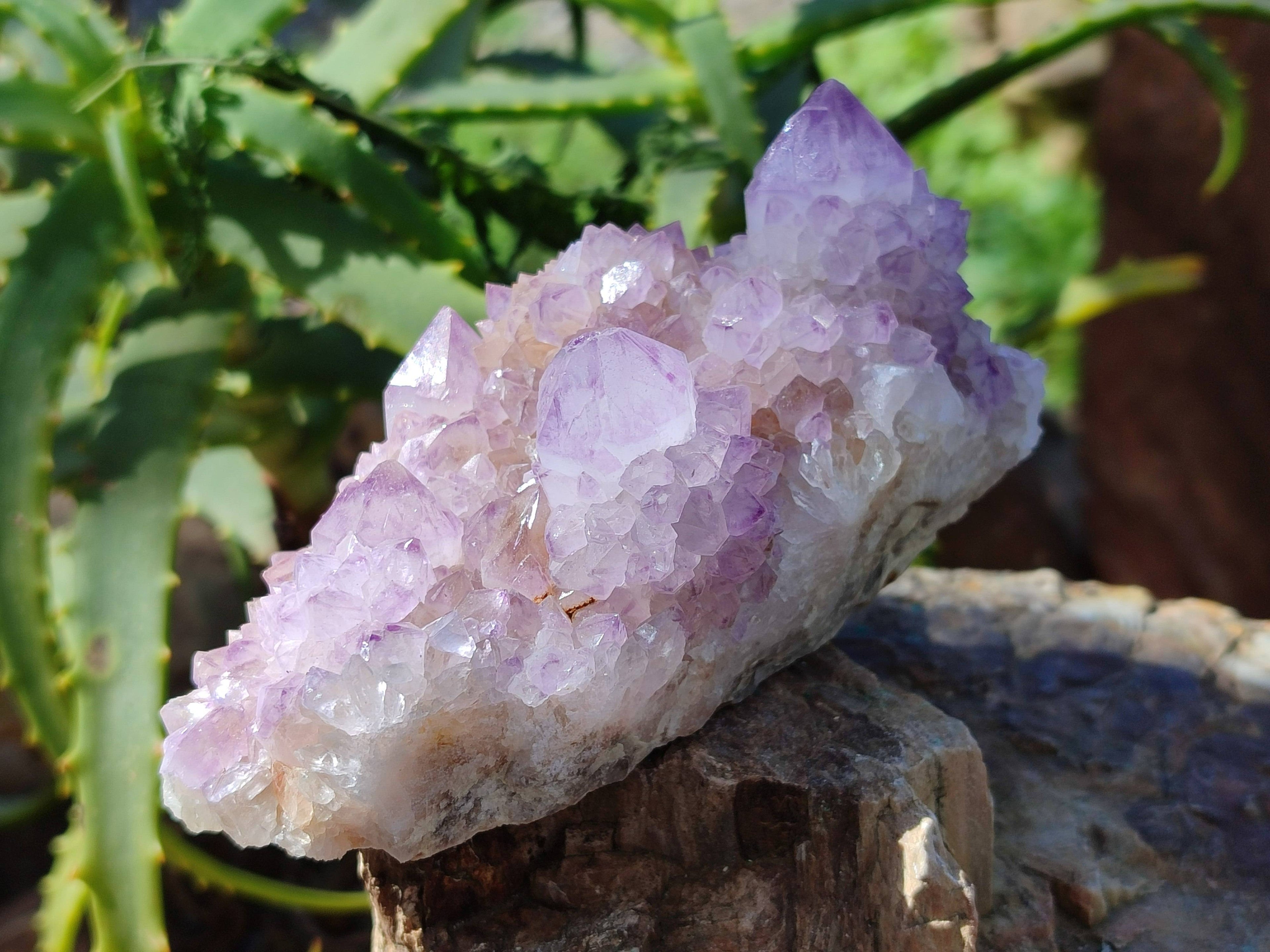 Natural Amethyst Spirit Quartz Clusters x 3 From Boekenhouthoek, South Africa - Toprock Gemstones and Minerals 