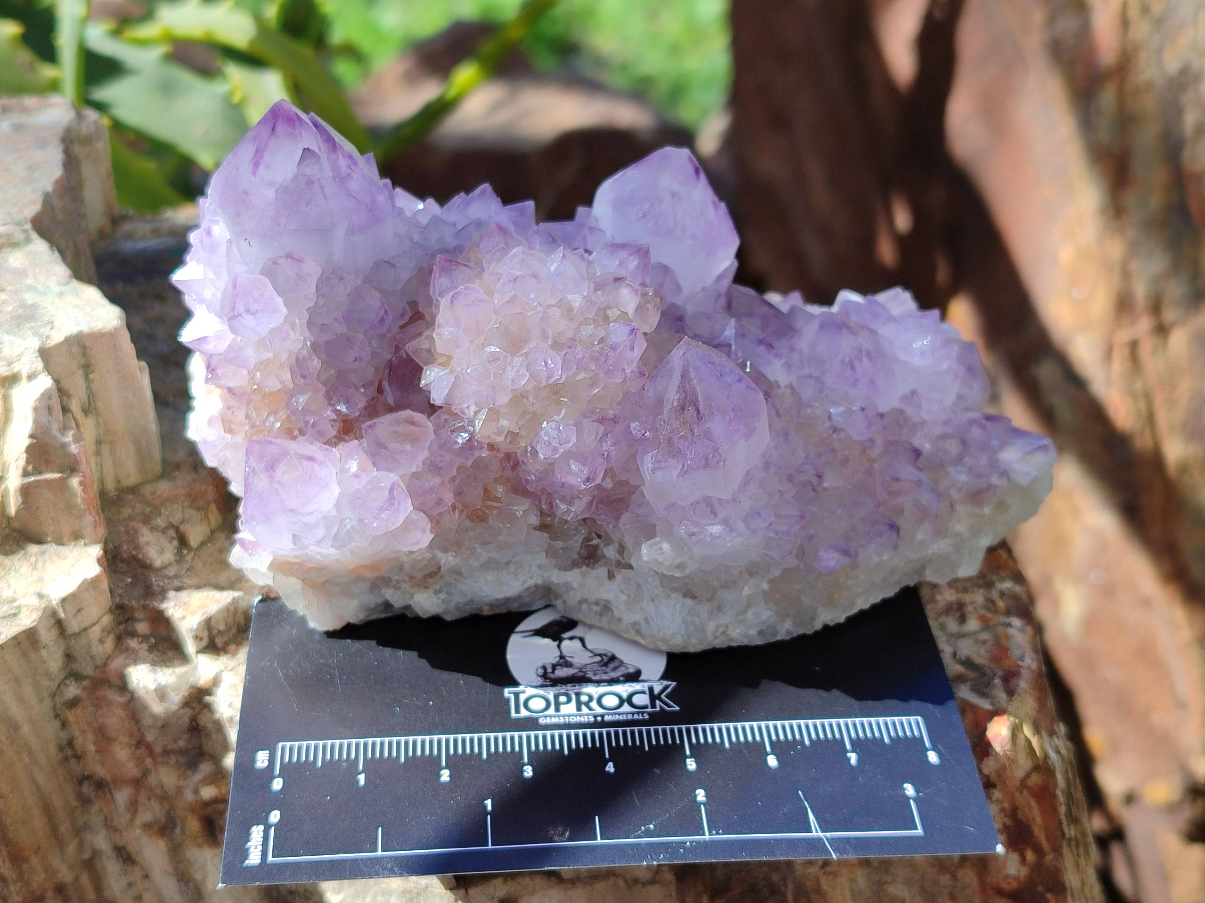 Natural Amethyst Spirit Quartz Clusters x 3 From Boekenhouthoek, South Africa - Toprock Gemstones and Minerals 