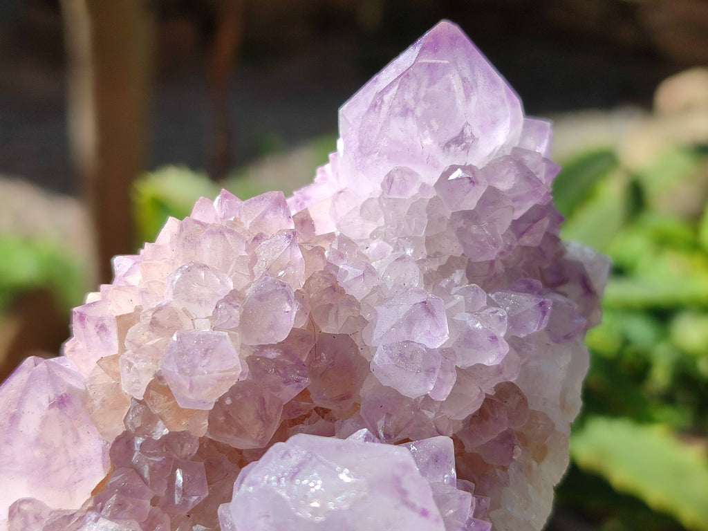 Natural Amethyst Spirit Quartz Clusters x 3 From Boekenhouthoek, South Africa - Toprock Gemstones and Minerals 