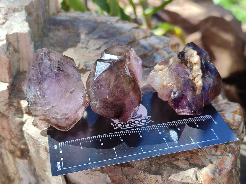 Natural Window Amethyst Crystals x 20 From Chiredzi, Zimbabwe - Toprock Gemstones and Minerals 