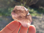 Natural Window Amethyst Crystals x 20 From Chiredzi, Zimbabwe - Toprock Gemstones and Minerals 