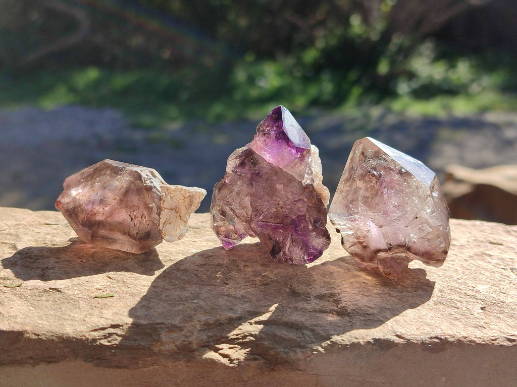 Natural Window Amethyst Crystals x 20 From Chiredzi, Zimbabwe - Toprock Gemstones and Minerals 