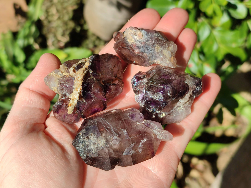 Natural Window Amethyst Crystals x 20 From Chiredzi, Zimbabwe - Toprock Gemstones and Minerals 