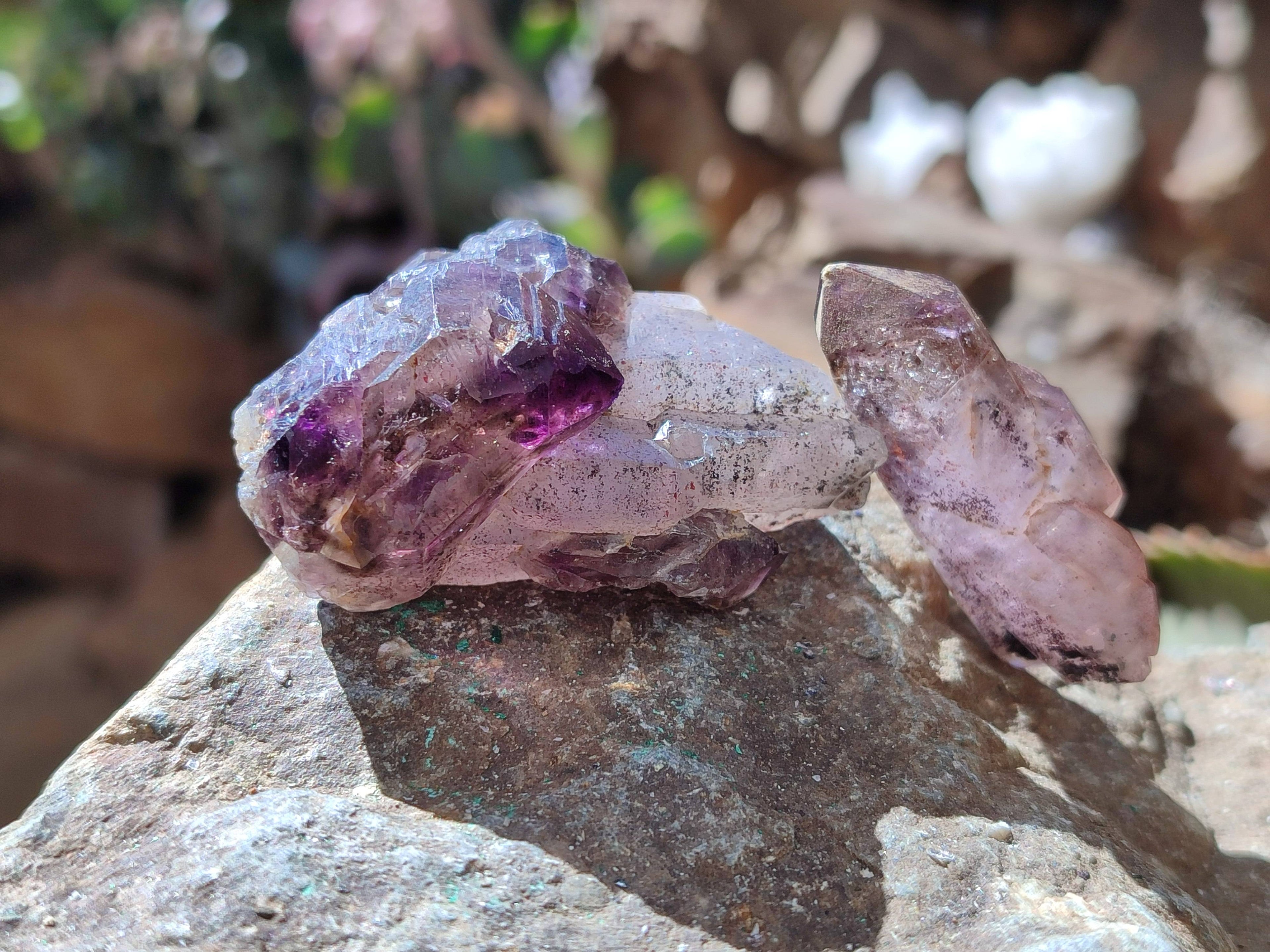 Natural Window Amethyst Crystals x 20 From Chiredzi, Zimbabwe - Toprock Gemstones and Minerals 