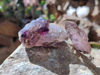 Natural Window Amethyst Crystals x 20 From Chiredzi, Zimbabwe