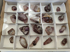 Natural Window Amethyst Crystals x 20 From Chiredzi, Zimbabwe - Toprock Gemstones and Minerals 