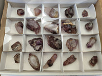 Natural Window Amethyst Crystals x 20 From Chiredzi, Zimbabwe