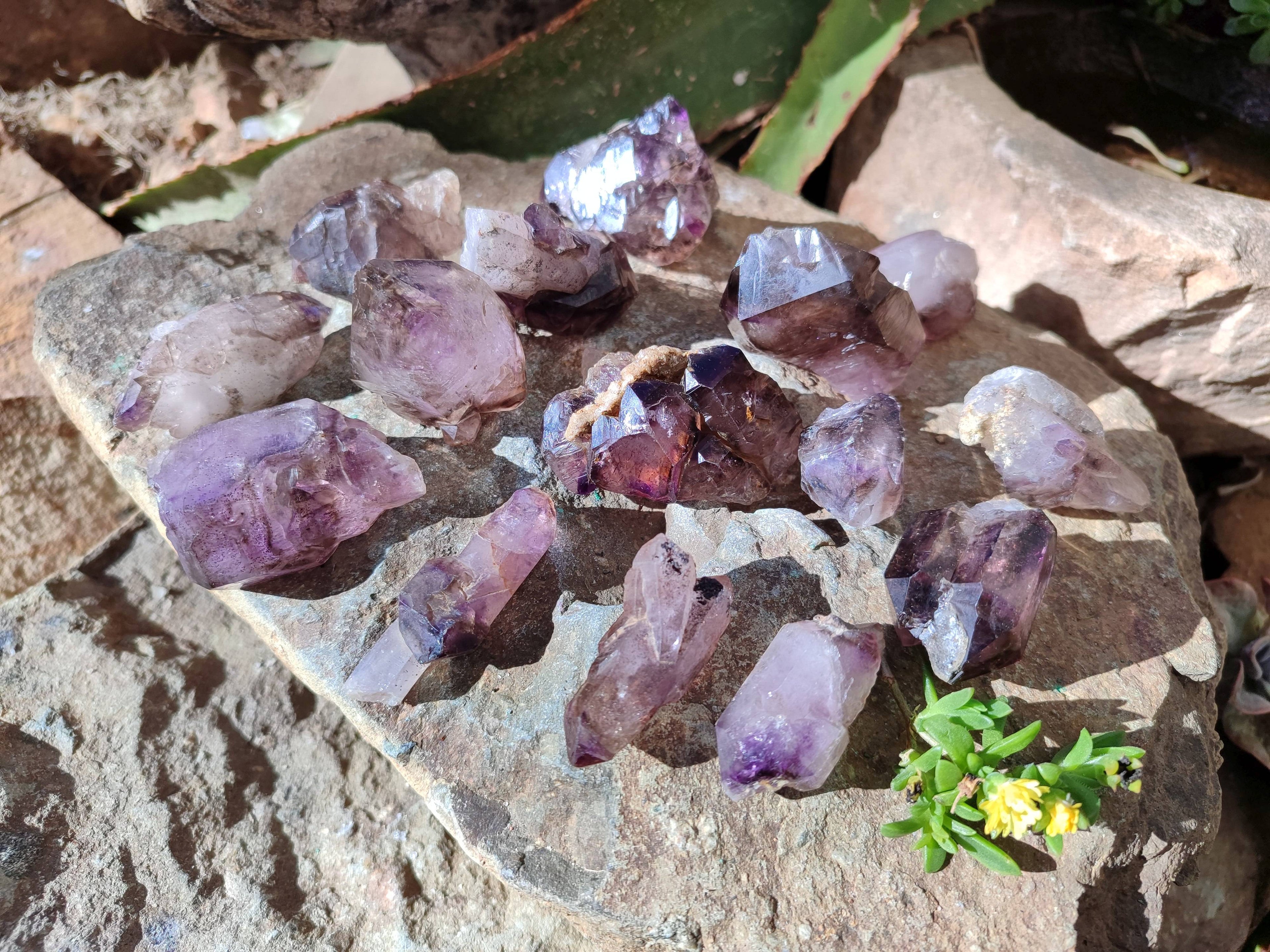 Natural Window Amethyst Crystals x 20 From Chiredzi, Zimbabwe - Toprock Gemstones and Minerals 