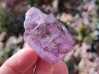 Natural Window Amethyst Crystals x 20 From Chiredzi, Zimbabwe - Toprock Gemstones and Minerals 