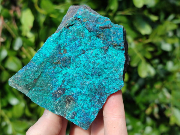 Natural Shattuckite Specimens x 2.8 Kg lot From Kaokoveld, Namibia