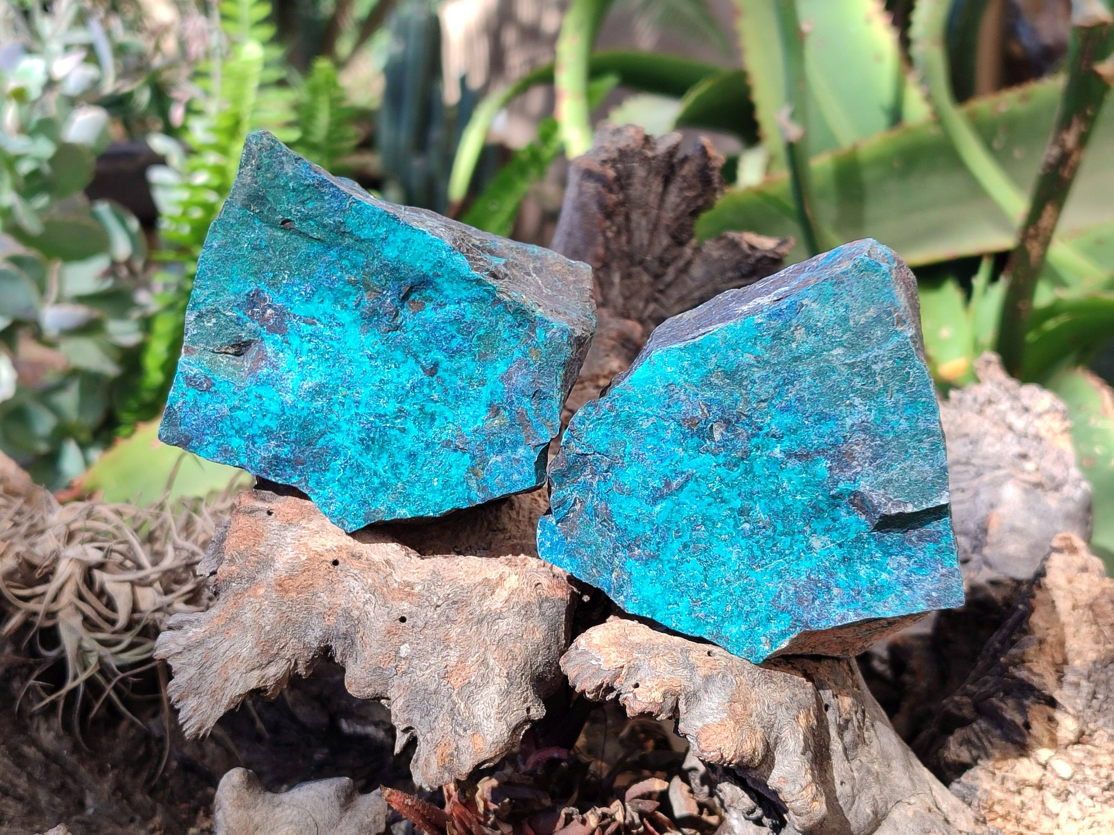 Natural Shattuckite Specimens x 2.8 Kg lot From Kaokoveld, Namibia - Toprock Gemstones and Minerals 