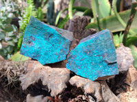 Natural Shattuckite Specimens x 2.8 Kg lot From Kaokoveld, Namibia
