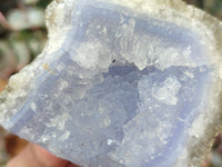 Natural Blue Lace Agate Geode Specimens x 12 From Malawi