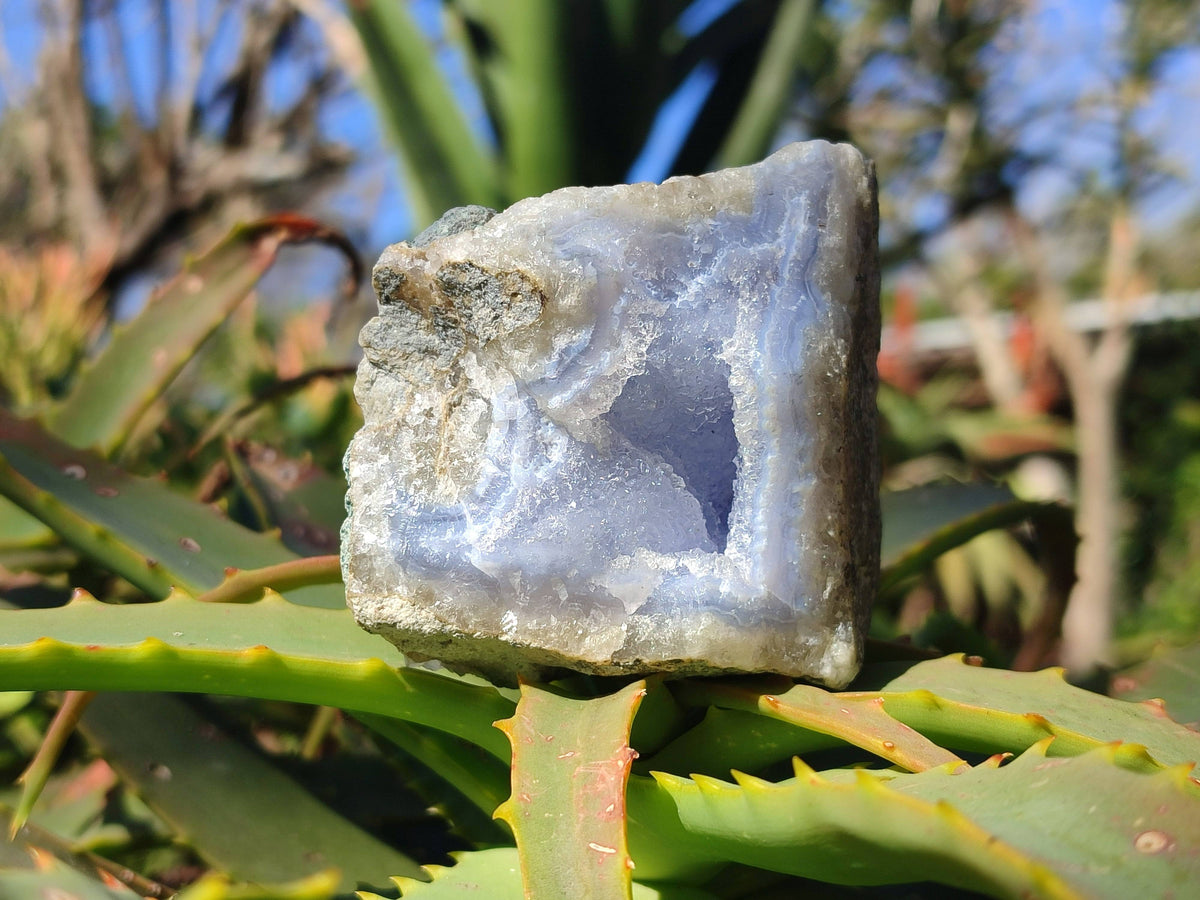 Natural Blue Lace Agate Geode Specimens x 12 From Malawi - Toprock Gemstones and Minerals 