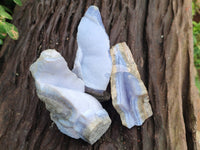Natural Blue Lace Agate Geode Specimens x 12 From Malawi