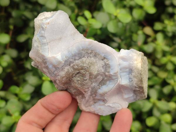 Natural Blue Lace Agate Geode Specimens x 12 From Malawi