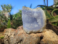 Natural Blue Lace Agate Geode Specimens x 12 From Malawi