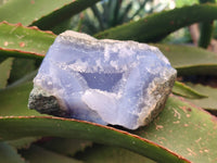 Natural Blue Lace Agate Geode Specimens x 12 From Malawi