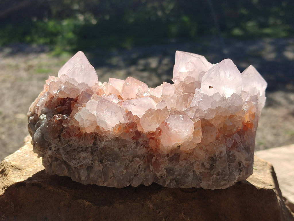 Natural Amethyst Spirit Quartz Clusters x 5 From Boekenhouthoek, South Africa - Toprock Gemstones and Minerals 