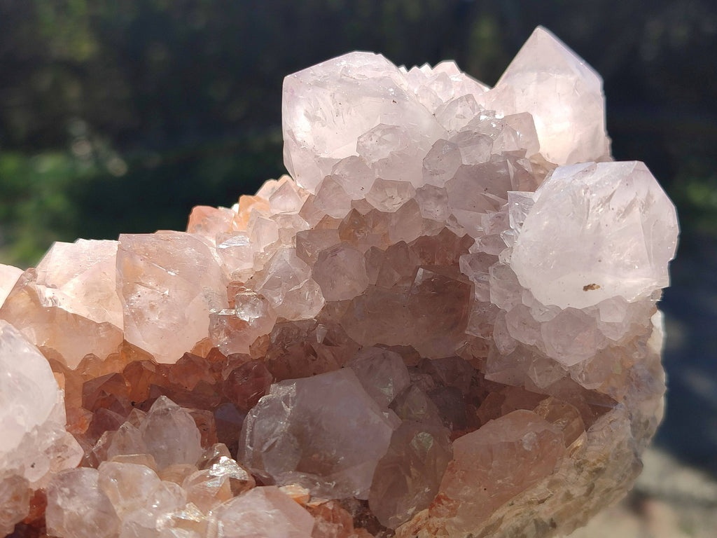 Natural Amethyst Spirit Quartz Clusters x 5 From Boekenhouthoek, South Africa - Toprock Gemstones and Minerals 