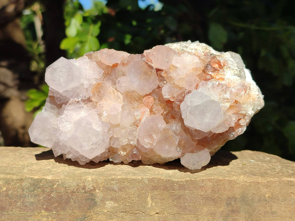 Natural Amethyst Spirit Quartz Clusters x 5 From Boekenhouthoek, South Africa - Toprock Gemstones and Minerals 