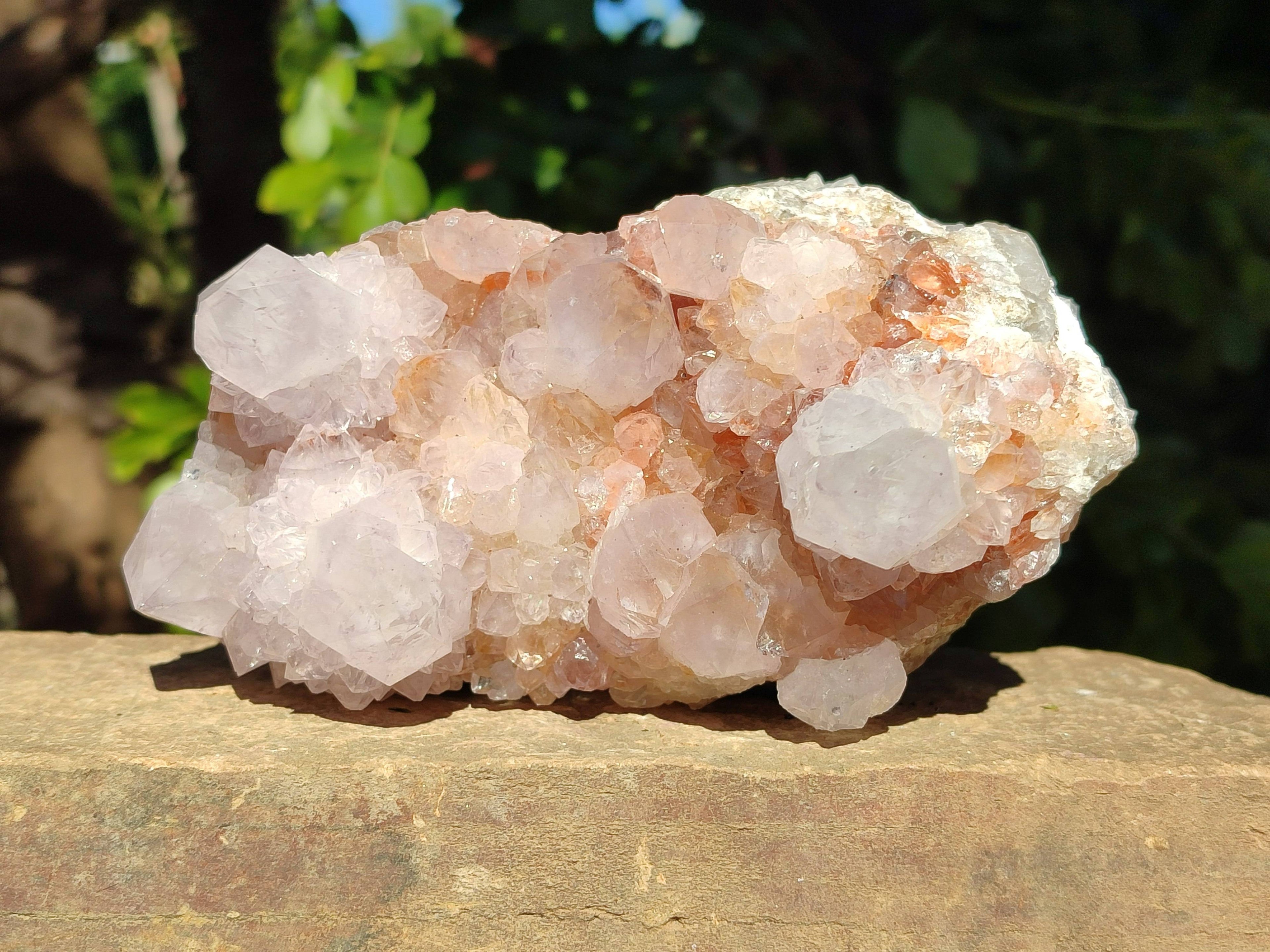 Natural Amethyst Spirit Quartz Clusters x 5 From Boekenhouthoek, South Africa - Toprock Gemstones and Minerals 