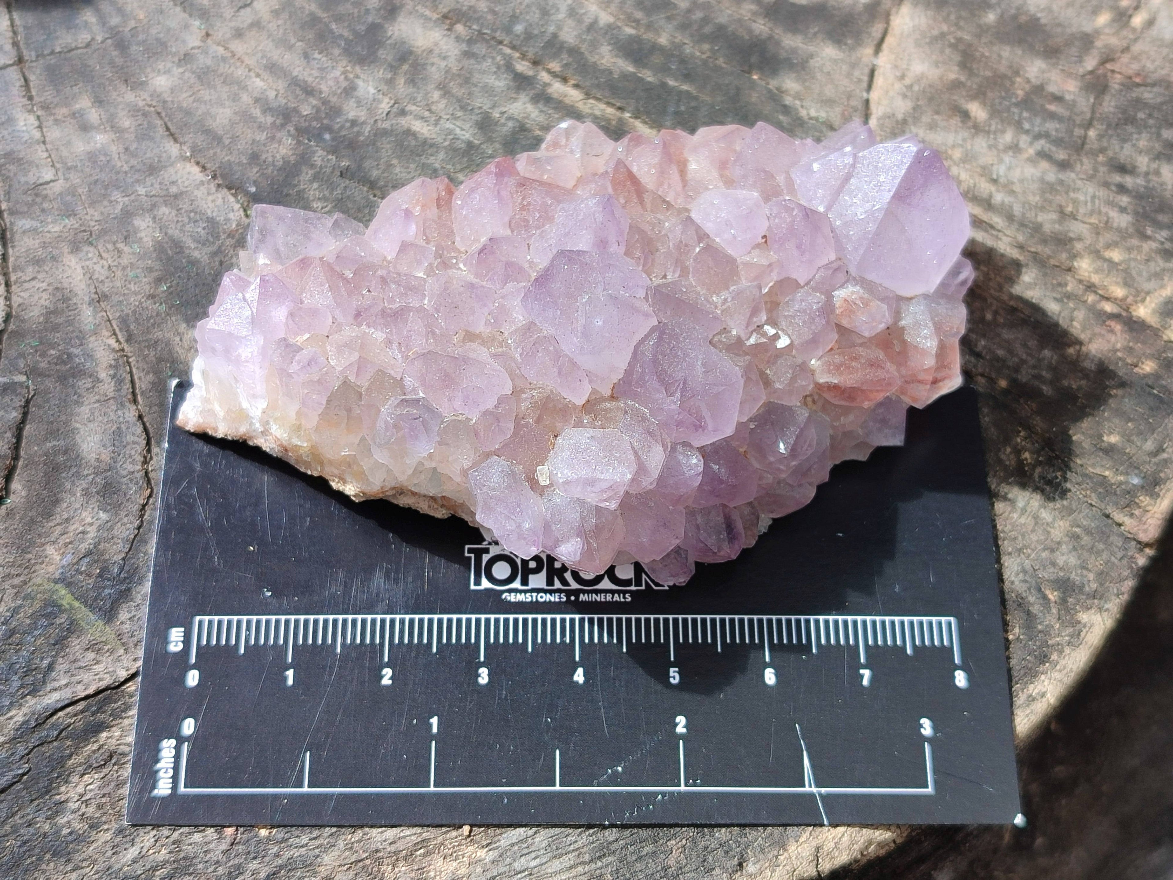 Natural Amethyst Spirit Quartz Clusters x 5 From Boekenhouthoek, South Africa - Toprock Gemstones and Minerals 