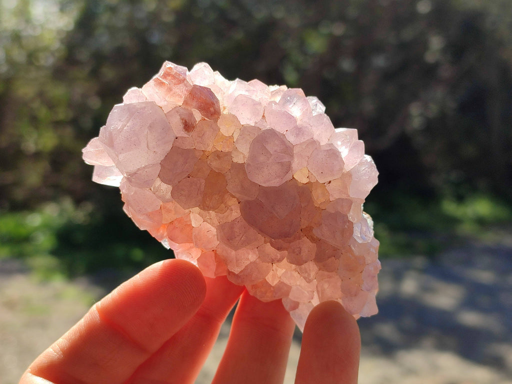 Natural Amethyst Spirit Quartz Clusters x 5 From Boekenhouthoek, South Africa - Toprock Gemstones and Minerals 
