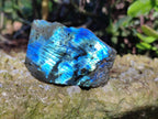 Polished On One Side Labradorite x 12 From Tulear, Madagascar - Toprock Gemstones and Minerals 
