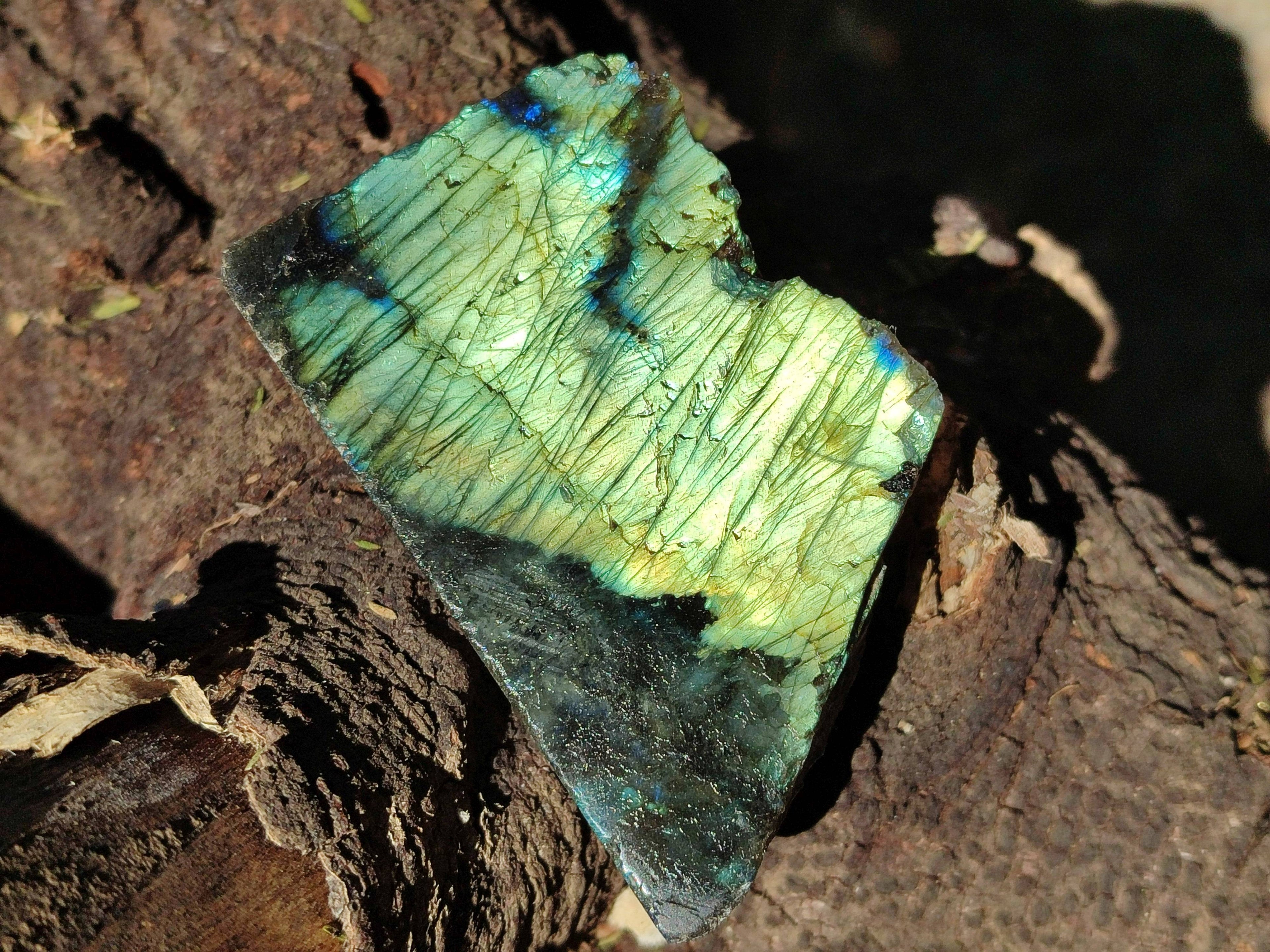 Polished On One Side Labradorite x 12 From Tulear, Madagascar - Toprock Gemstones and Minerals 