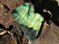Polished On One Side Labradorite x 12 From Tulear, Madagascar - Toprock Gemstones and Minerals 