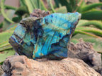 Polished On One Side Labradorite x 12 From Tulear, Madagascar - Toprock Gemstones and Minerals 