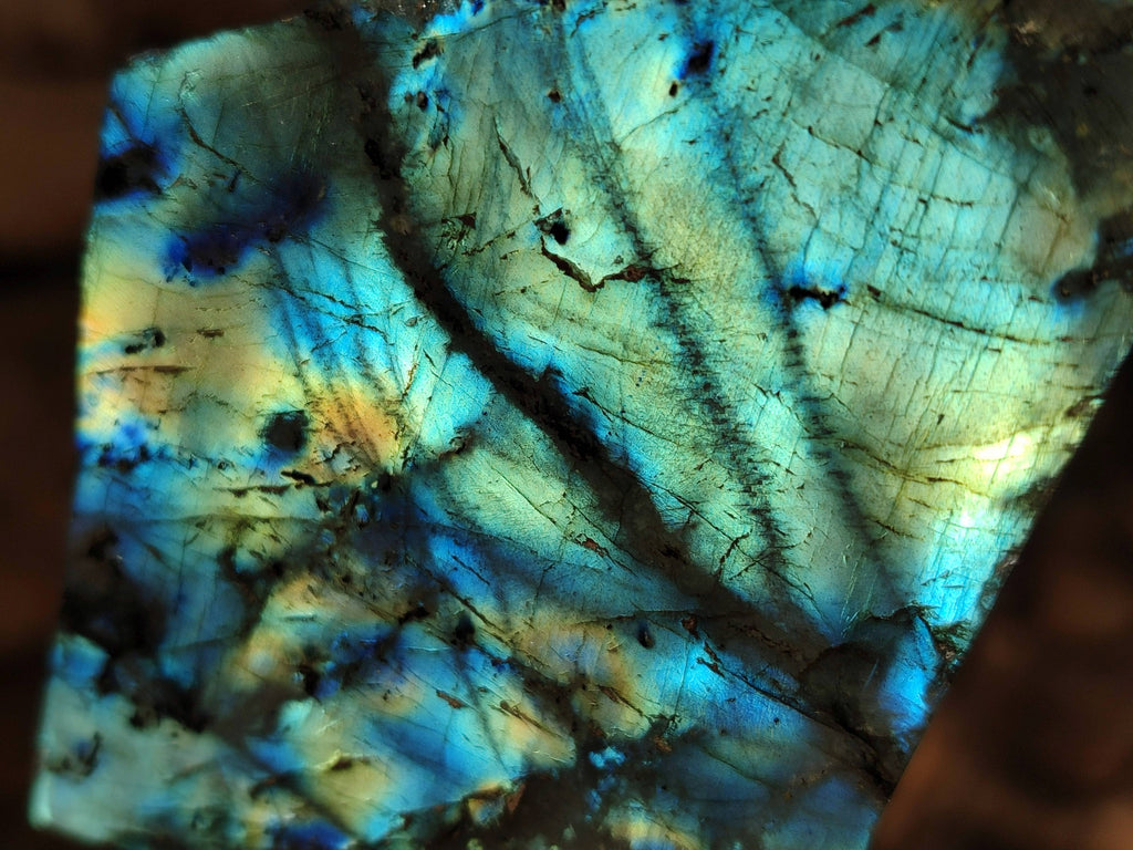 Polished On One Side Labradorite x 12 From Tulear, Madagascar - Toprock Gemstones and Minerals 