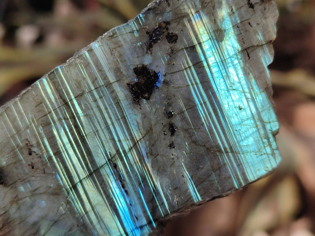 Polished On One Side Labradorite x 12 From Tulear, Madagascar - Toprock Gemstones and Minerals 