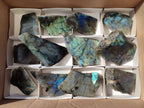 Polished On One Side Labradorite x 12 From Tulear, Madagascar - Toprock Gemstones and Minerals 