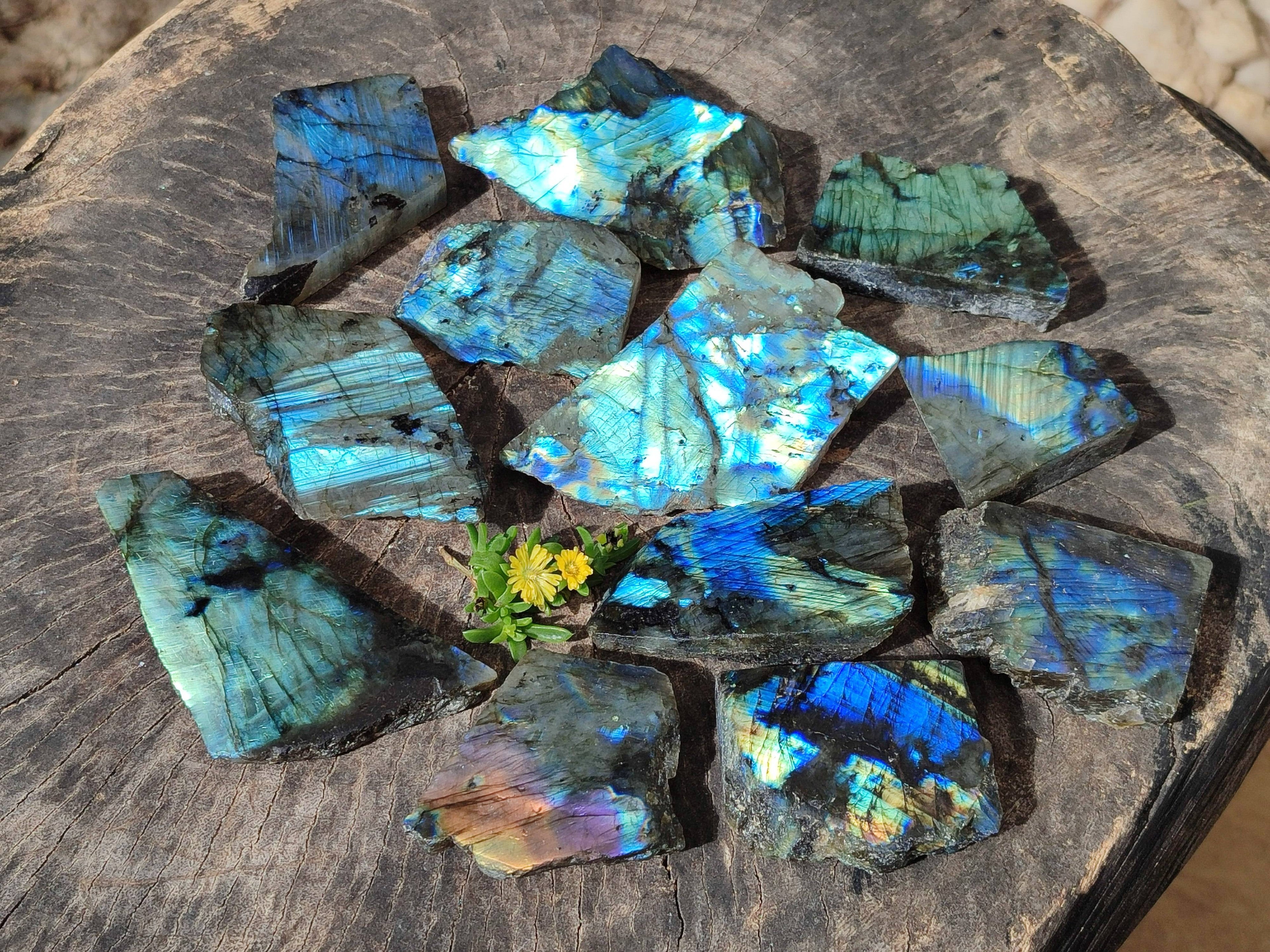 Polished On One Side Labradorite x 12 From Tulear, Madagascar - Toprock Gemstones and Minerals 