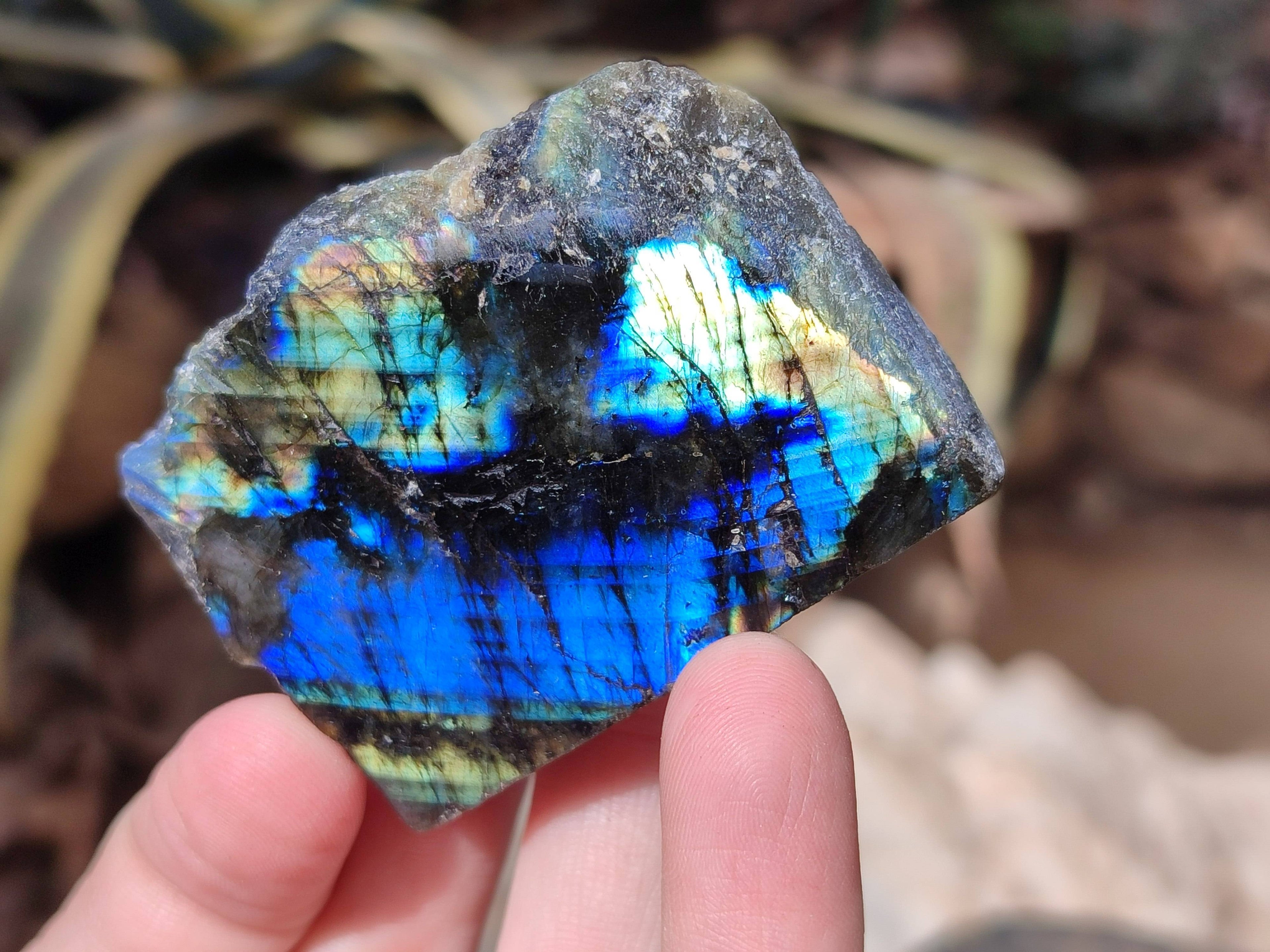 Polished On One Side Labradorite x 12 From Tulear, Madagascar - Toprock Gemstones and Minerals 