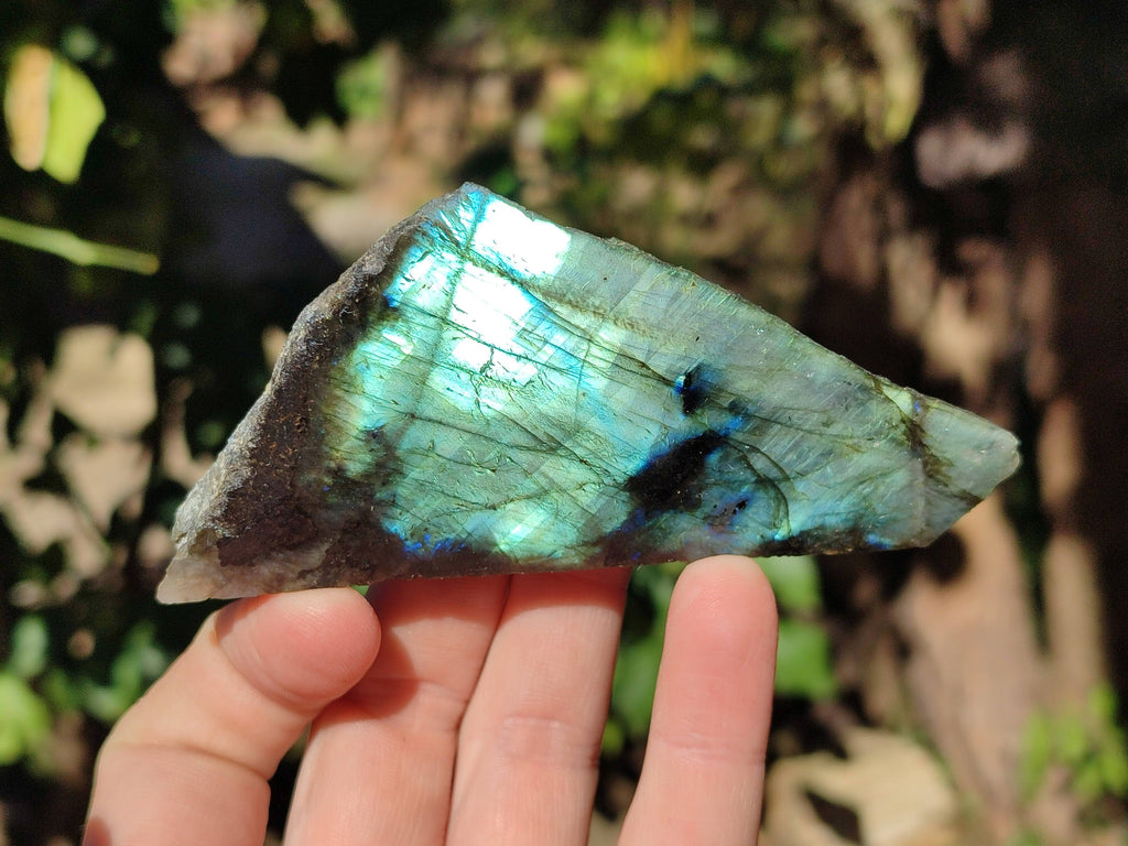 Polished On One Side Labradorite x 12 From Tulear, Madagascar - Toprock Gemstones and Minerals 