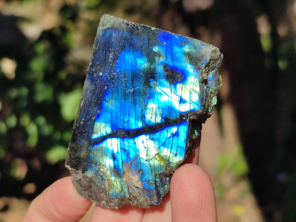 Polished On One Side Labradorite x 12 From Tulear, Madagascar - Toprock Gemstones and Minerals 