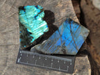 Polished On One Side Labradorite x 12 From Tulear, Madagascar - Toprock Gemstones and Minerals 