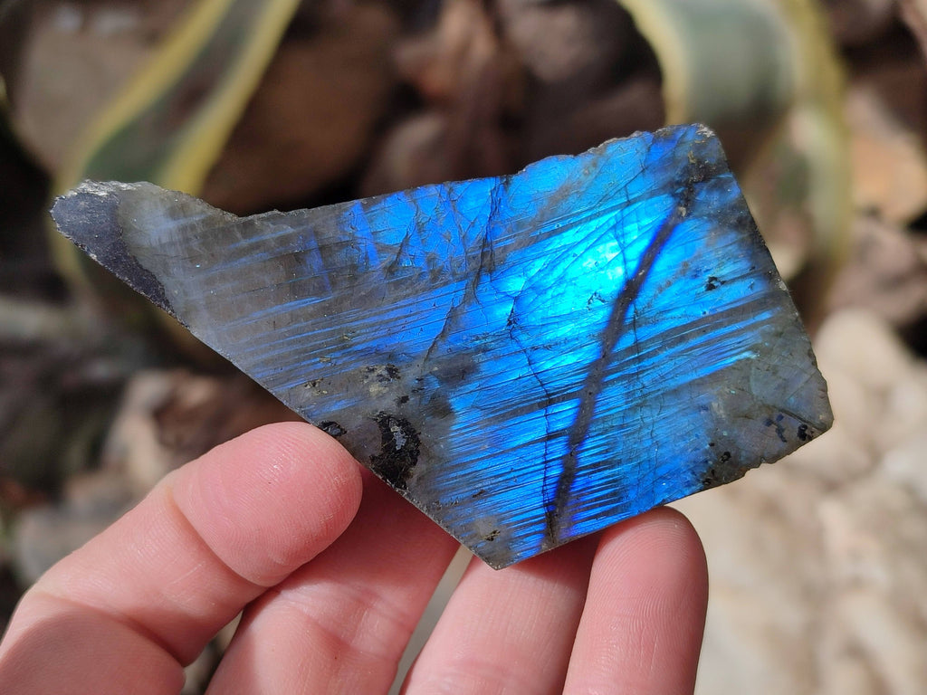 Polished On One Side Labradorite x 12 From Tulear, Madagascar - Toprock Gemstones and Minerals 