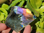 Polished On One Side Labradorite x 12 From Tulear, Madagascar - Toprock Gemstones and Minerals 