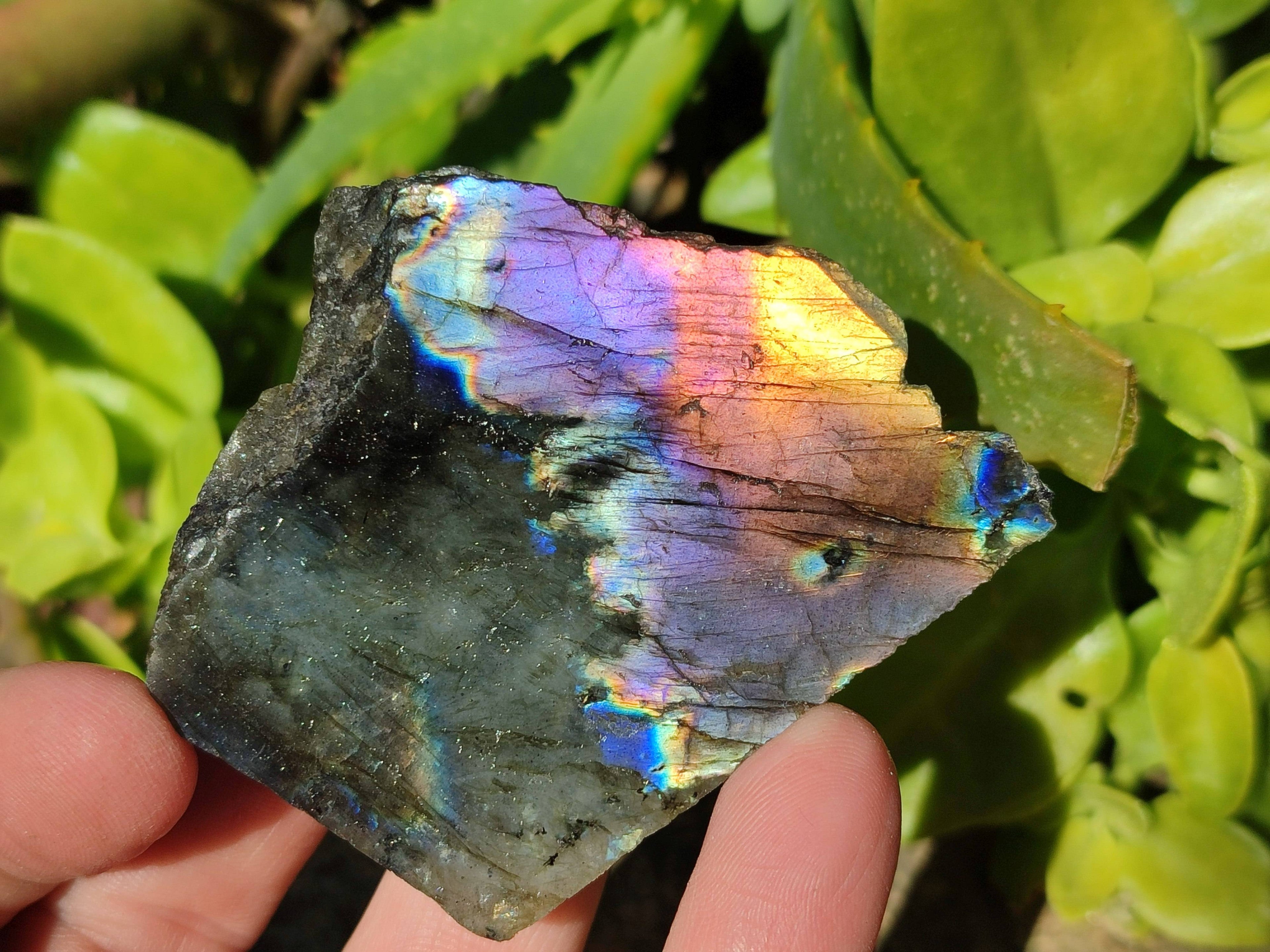 Polished On One Side Labradorite x 12 From Tulear, Madagascar - Toprock Gemstones and Minerals 