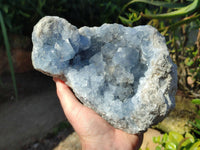 Natural Celestite Geode Specimen x 1 From Sakoany, Madagascar