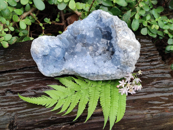 Natural Celestite Geode Specimen x 1 From Sakoany, Madagascar